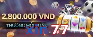 xin77