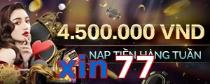 xin77