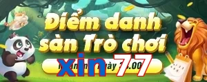 xin77
