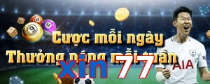 xin77