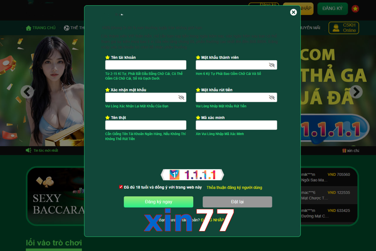 xin77